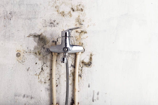 Best Preventive Mold Services in Oxford, KS